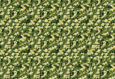 Стереокартинки для всей семьи. Карточки